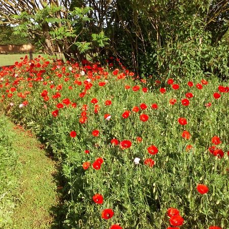 La Pause - Val De Loire Bed and Breakfast Chabris Εξωτερικό φωτογραφία