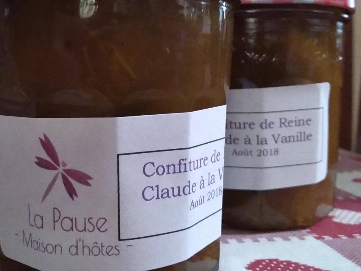 La Pause - Val De Loire Bed and Breakfast Chabris Εξωτερικό φωτογραφία