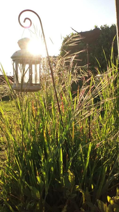 La Pause - Val De Loire Bed and Breakfast Chabris Εξωτερικό φωτογραφία