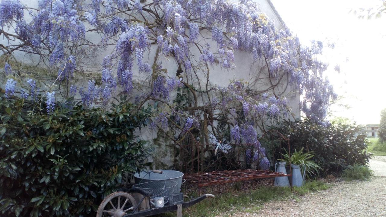 La Pause - Val De Loire Bed and Breakfast Chabris Εξωτερικό φωτογραφία