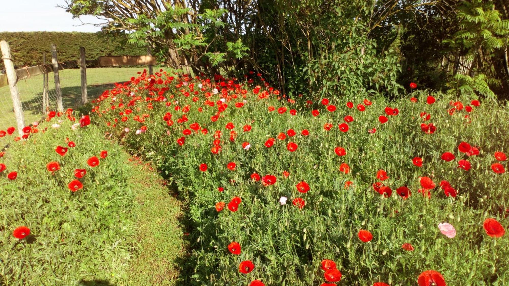 La Pause - Val De Loire Bed and Breakfast Chabris Εξωτερικό φωτογραφία